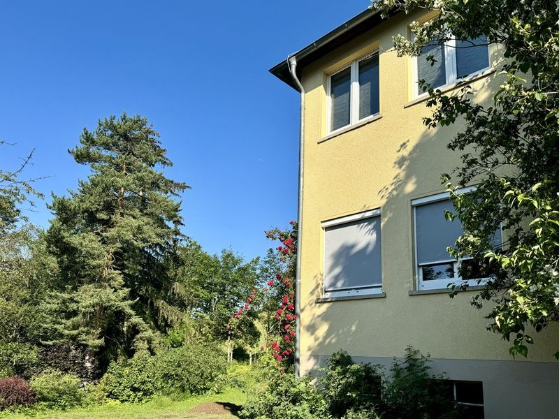 Hausecke mit gelber Fassade, roten Kletterrosen und hoher Kiefer daneben